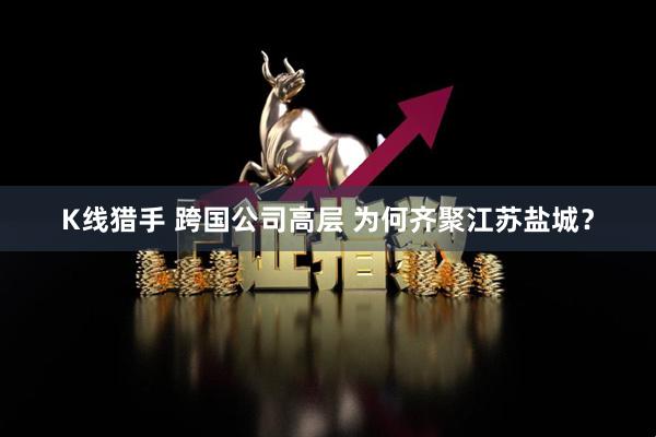 K线猎手 跨国公司高层 为何齐聚江苏盐城？