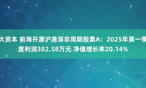 大资本 前海开源沪港深非周期股票A：2025年第一季度利润382.58万元 净值增长率20.14%