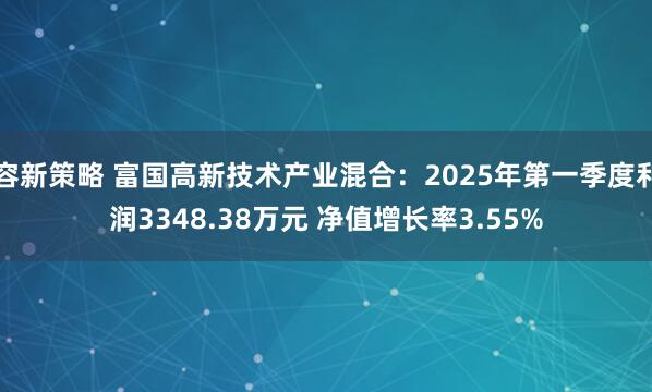 容新策略 富国高新技术产业混合：2025年第一季度利润3348.38万元 净值增长率3.55%