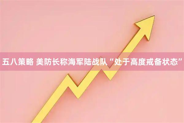 五八策略 美防长称海军陆战队“处于高度戒备状态”
