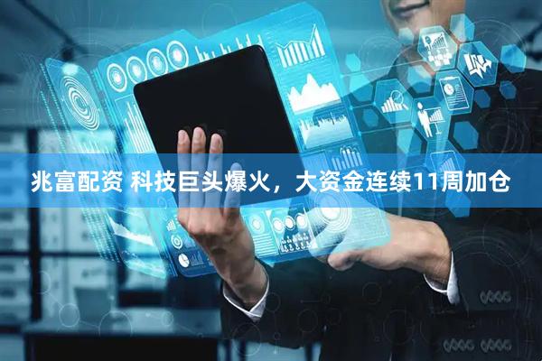 兆富配资 科技巨头爆火，大资金连续11周加仓
