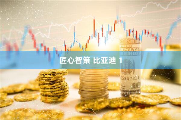 匠心智策 比亚迪 1