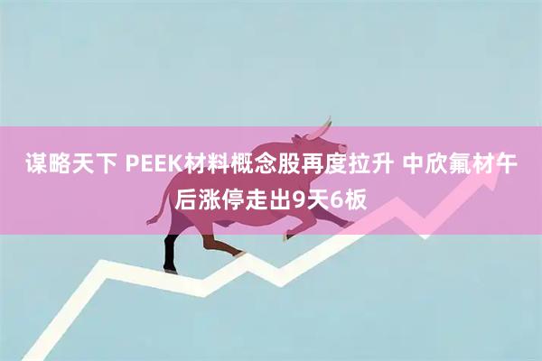 谋略天下 PEEK材料概念股再度拉升 中欣氟材午后涨停走出9天6板
